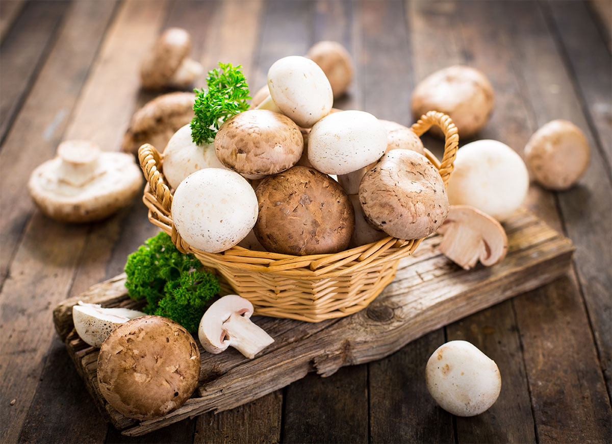 Bei einer Lebensmittelvergiftung durch Pilze sind Symptome wie Atemnot typisch.