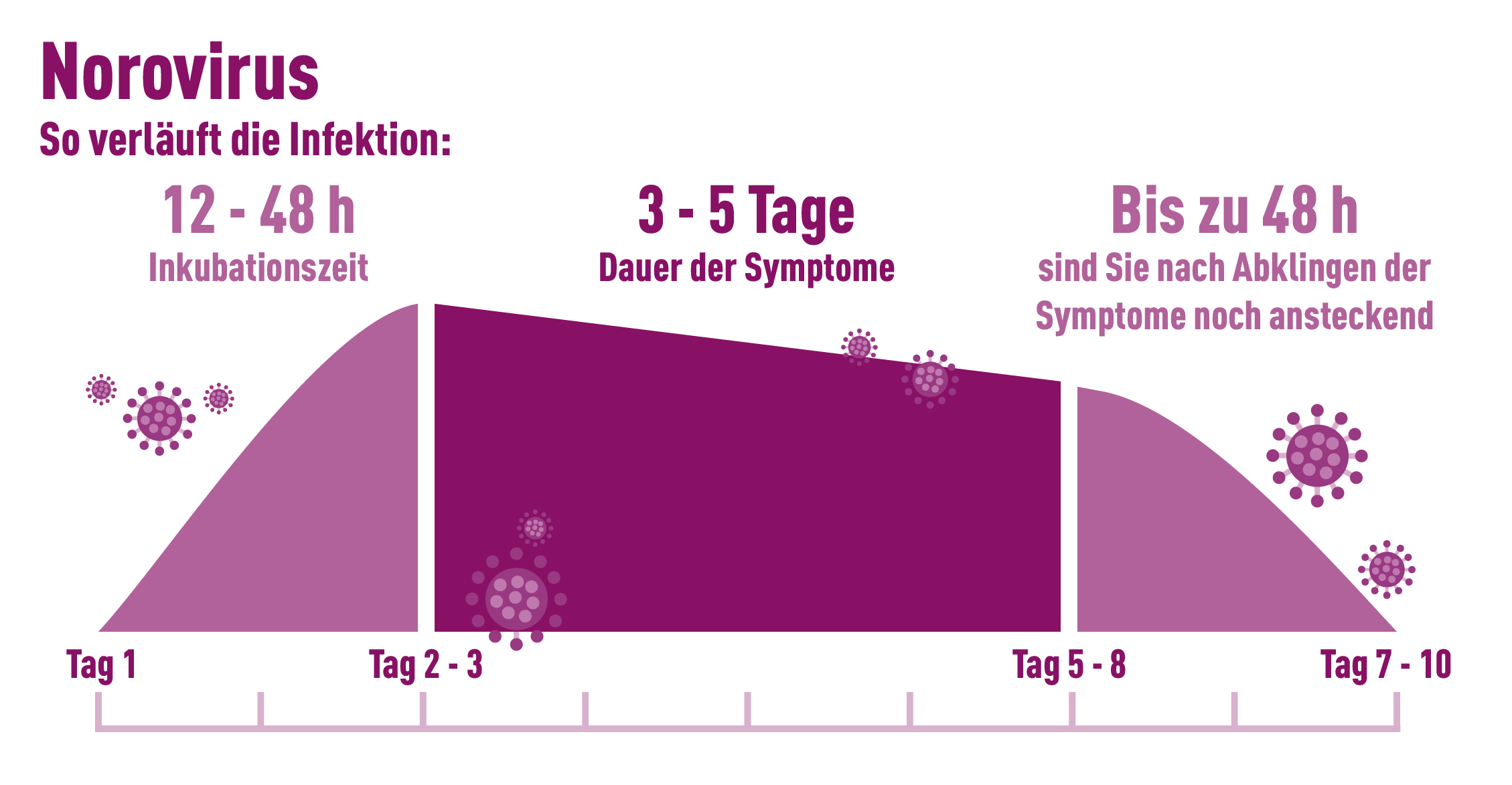 Diagramm zeigt Norovirus-Infektionsverlauf mit Inkubationszeit und Symptomen in Tagen.